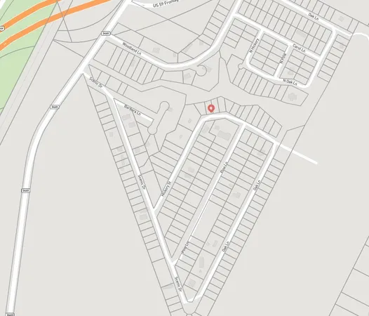 a close up of a plant in a garden