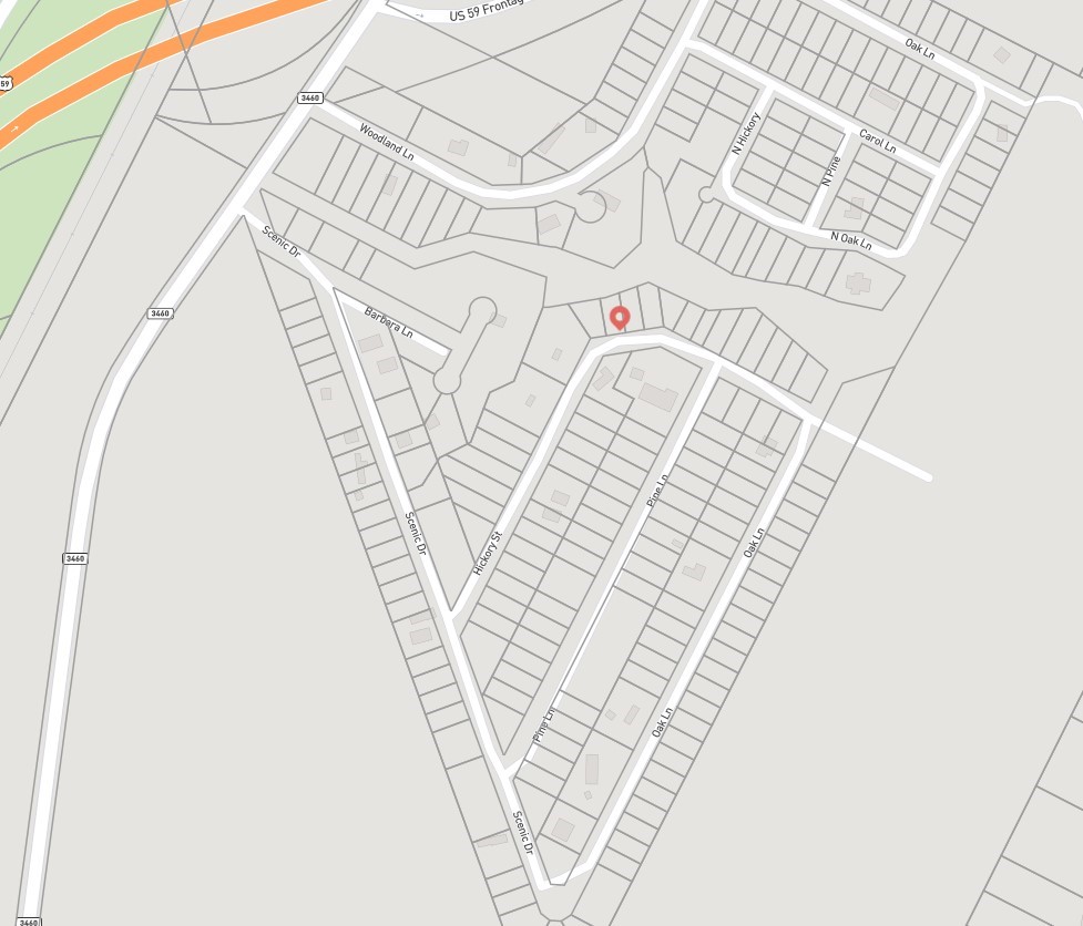 175 Lakeview Drive Shepherd, TX 77371 - Photo 3 of 4