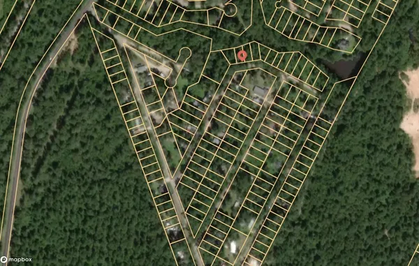 $30,000 | 175 Lakeview Drive, Shepherd, TX 77371