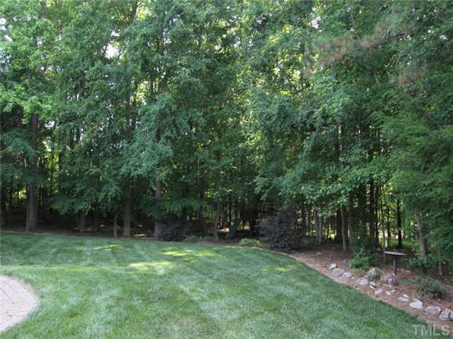 7305 Sparhawk Road Wake Forest, NC 27587 - Photo 20 of 25 PRIVACY, TRANQUILITY AND PLENTY OF SPACE TO PLAY! Back Yard
