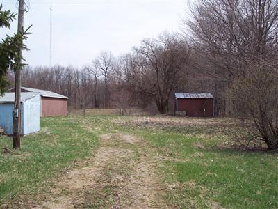Primary Photo