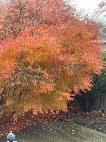 a view of ocean from a balcony