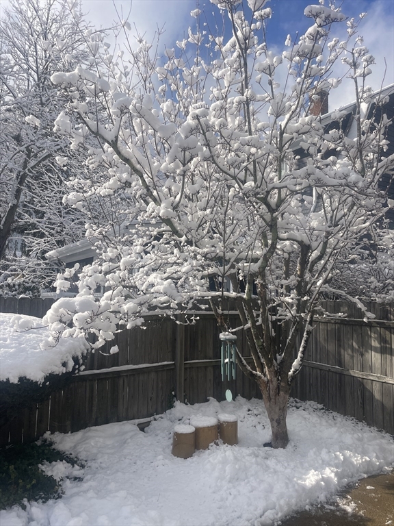 66 Lowell Road Winthrop, MA 02152 - Photo 7 of 40