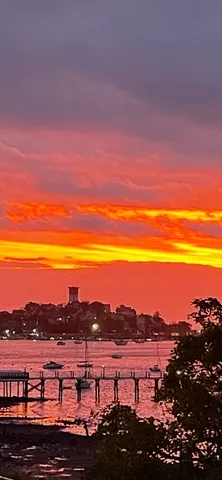 a room with furniture and a potted plant