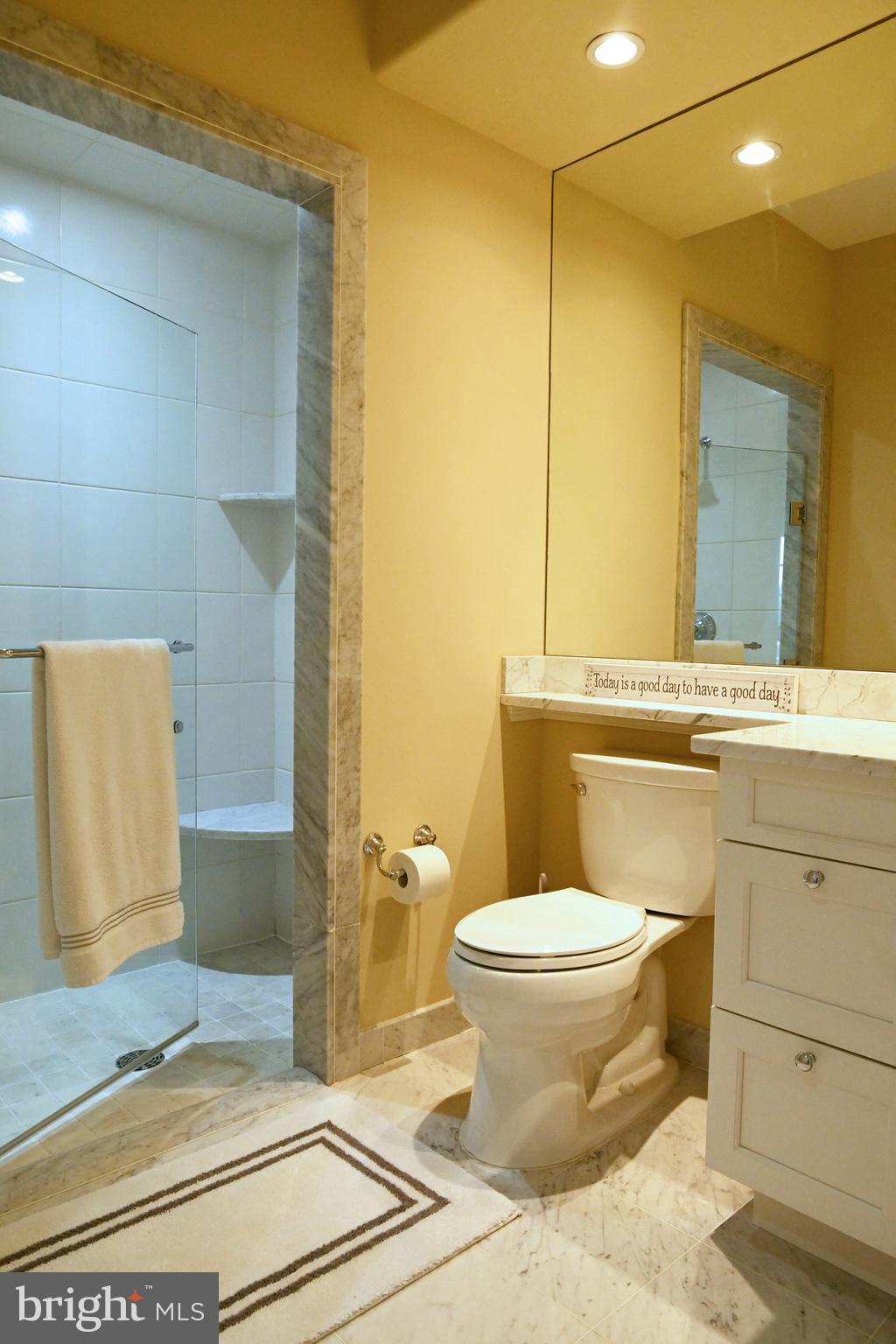 108 East Lancaster Avenue, Unit B2 Wayne, PA 19087 - Photo 16 of 28 Marble counters and accents in bath