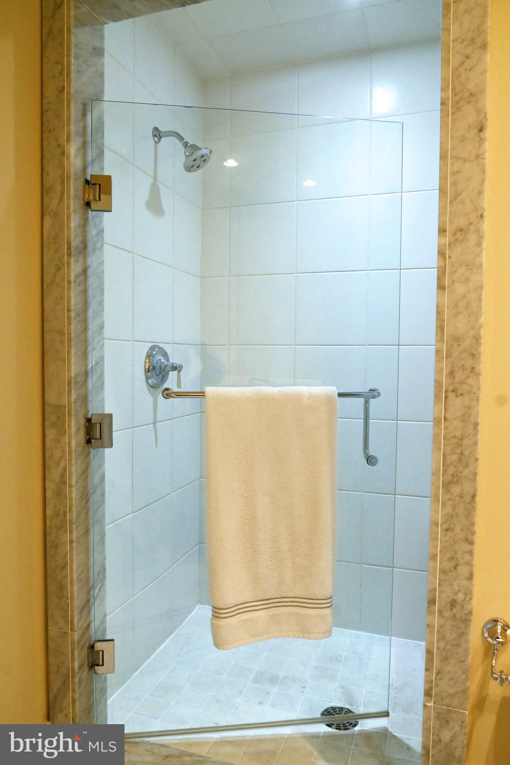 108 East Lancaster Avenue, Unit B2 Wayne, PA 19087 - Photo 17 of 28 Walk in shower