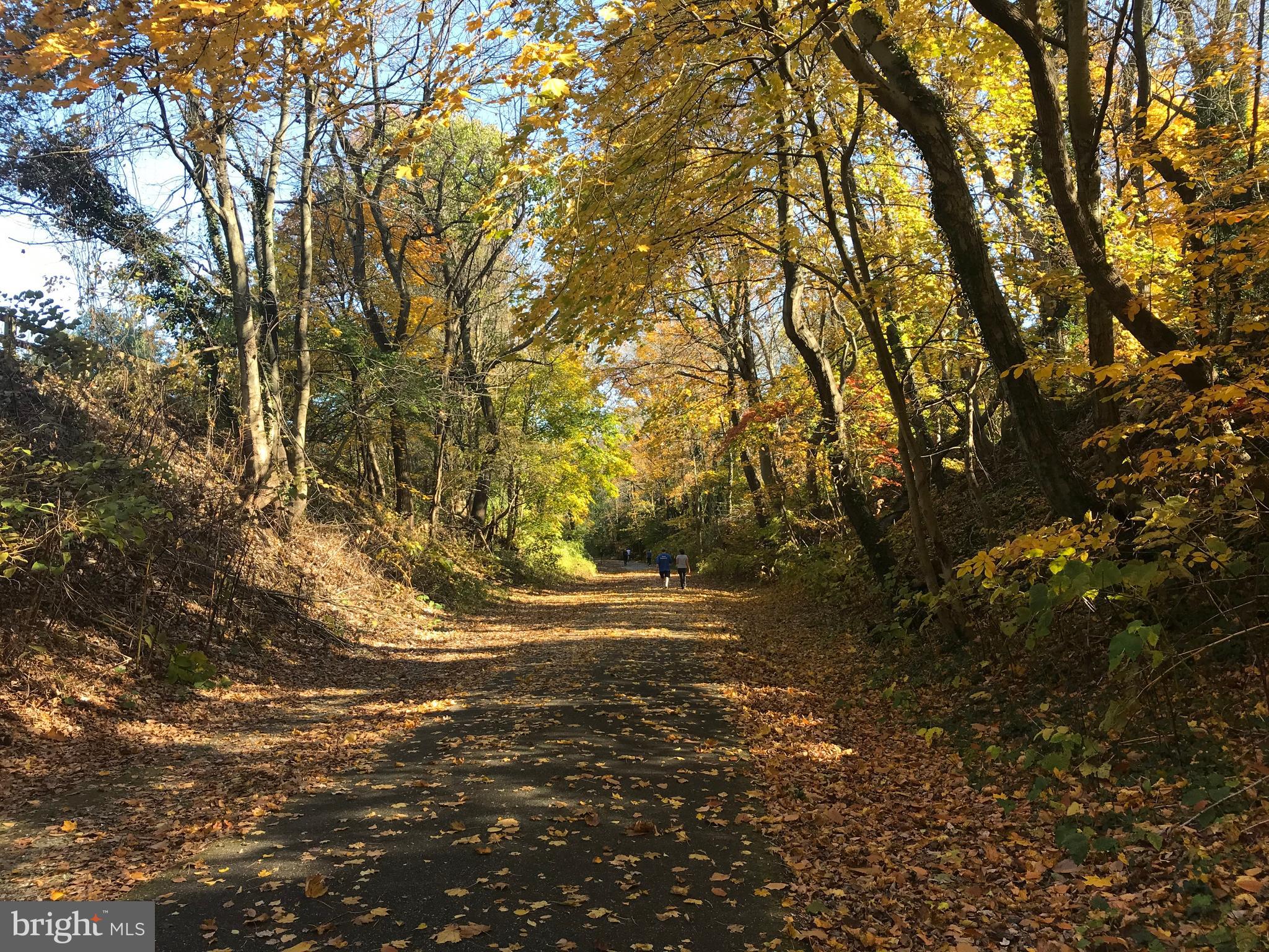 108 East Lancaster Avenue, Unit B2 Wayne, PA 19087 - Photo 25 of 28 Less than 1,000 yards to the Radnor Trail