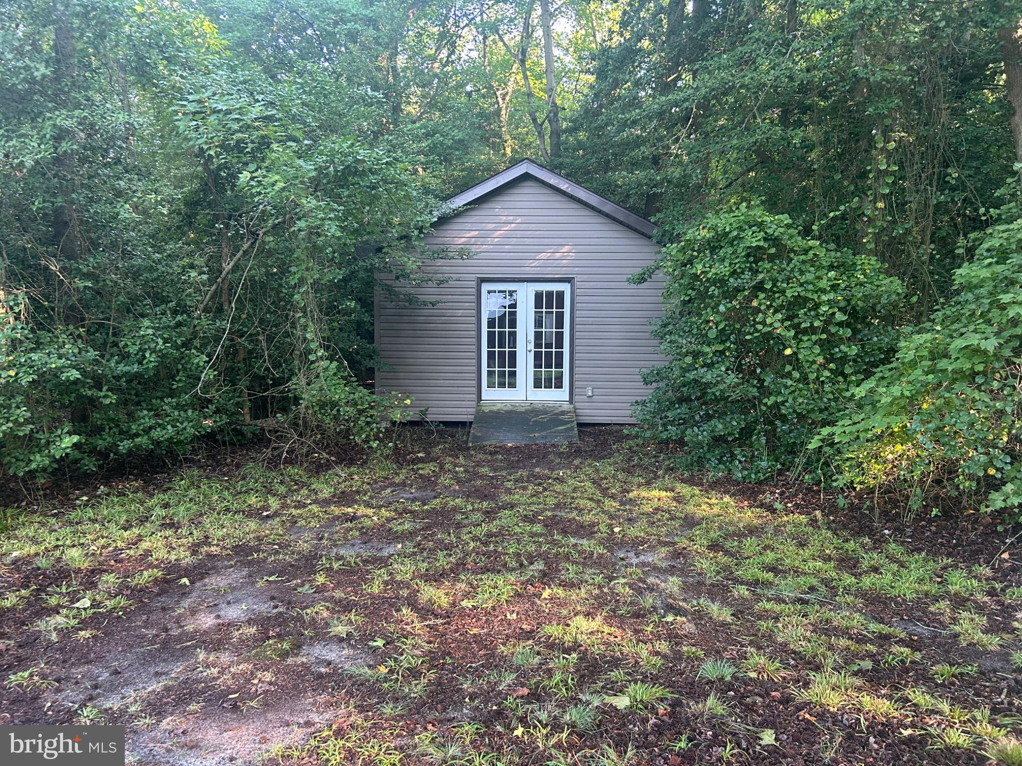 26317 Fire Tower Road Laurel, DE 19956 - Photo 4 of 22 Charming retreat nestled in nature.