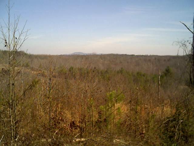 ? Wolf Creek Road Easley, SC 29640 - Photo 1 of 1