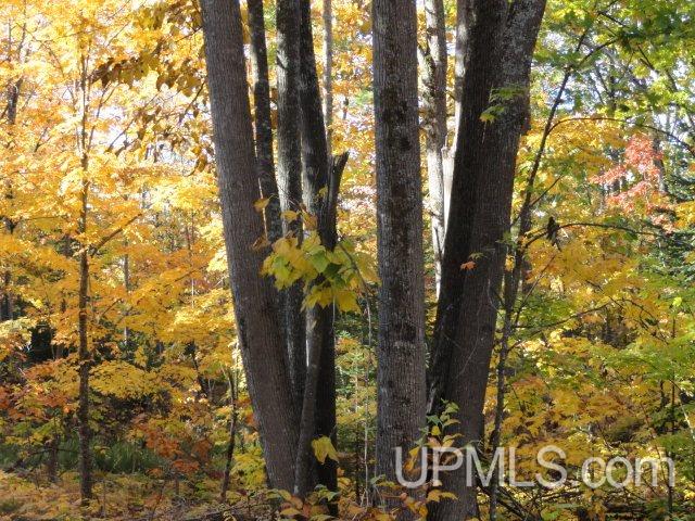 Tbd Tbd Off Townline Road Lanse, MI 49946 - Photo 5 of 18