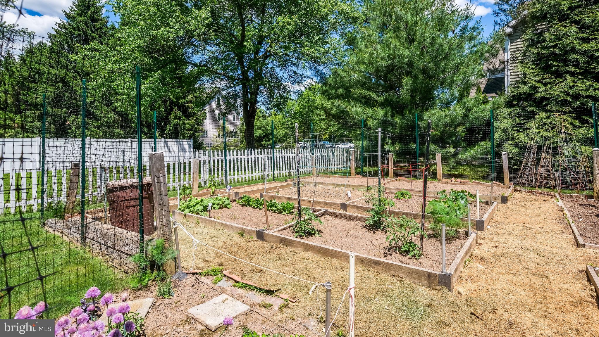 113 Iron Hill Road Doylestown, PA 18901 - Photo 47 of 47 Your very own vegetable garden!