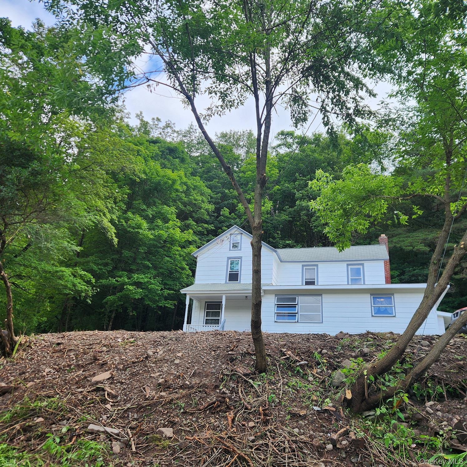 476 Old Rte 17 Livingston Manor, NY 12758 - Photo 2 of 39 View of side of property with a chimney