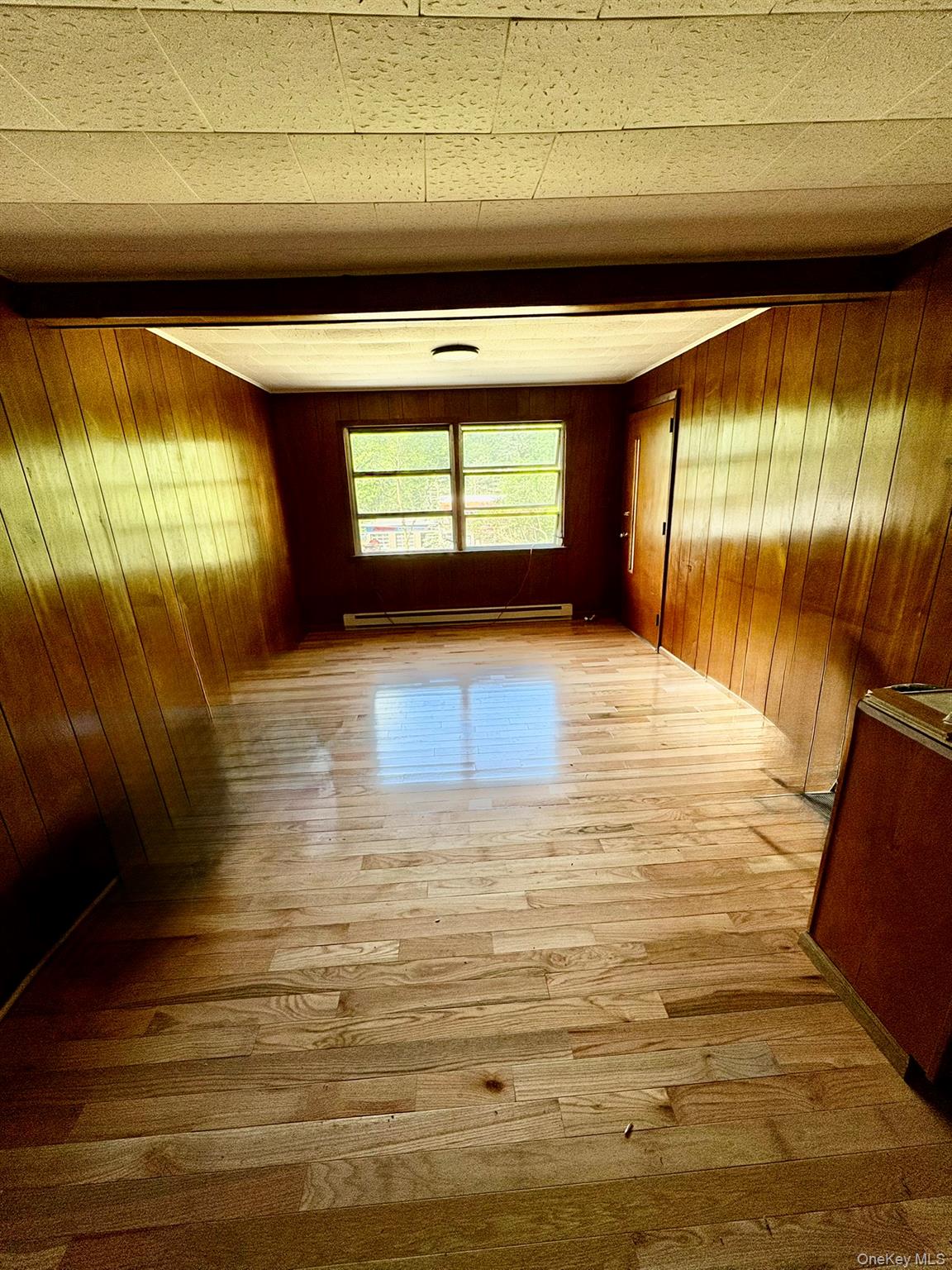 476 Old Rte 17 Livingston Manor, NY 12758 - Photo 10 of 39 Hall with wood finished floors, wood walls, and baseboard heating