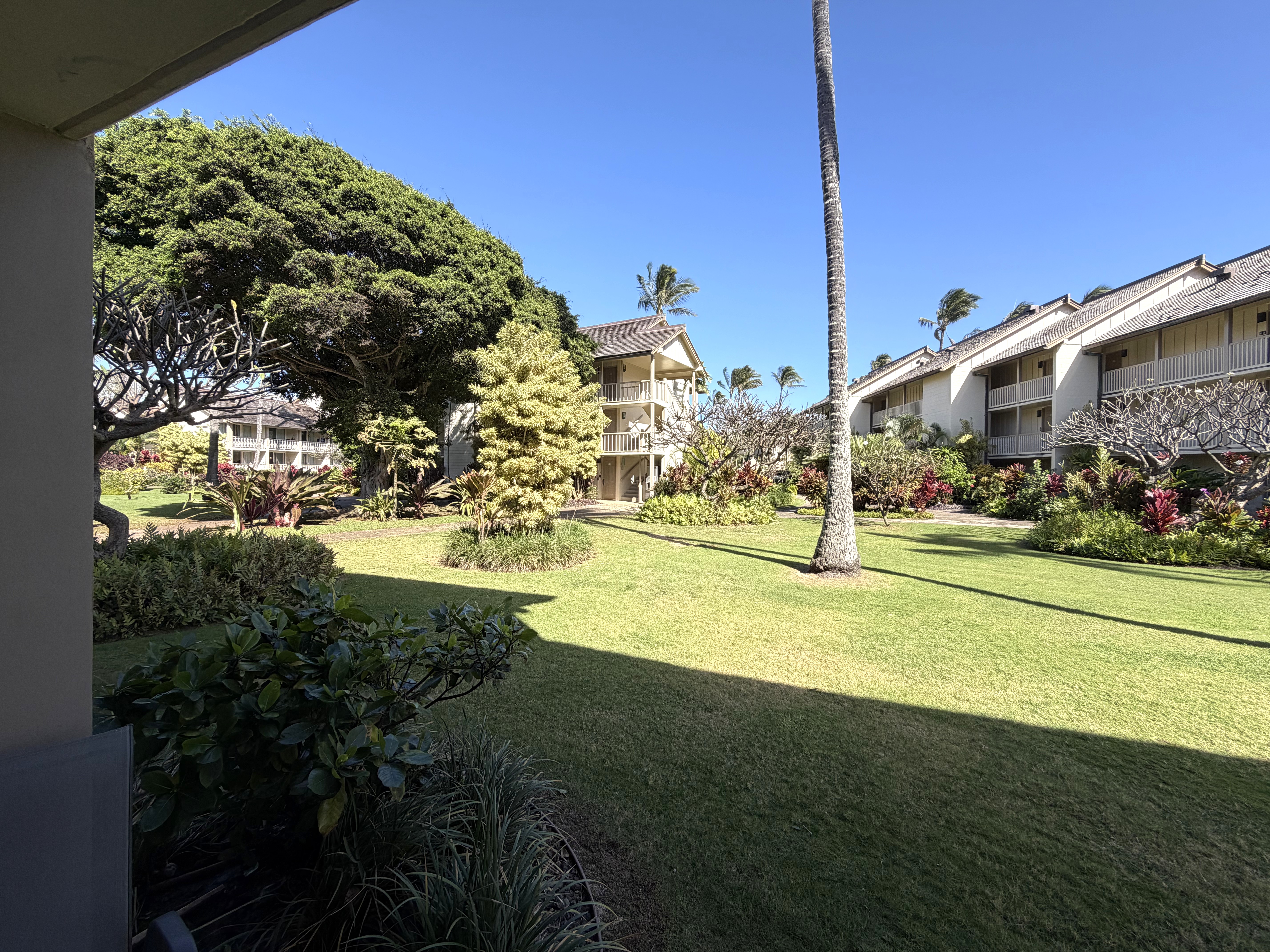 440 Aleka Place, Unit 156 Kapaa, HI 96746 - Photo 24 of 27 a view of swimming pool with outdoor seating and plants