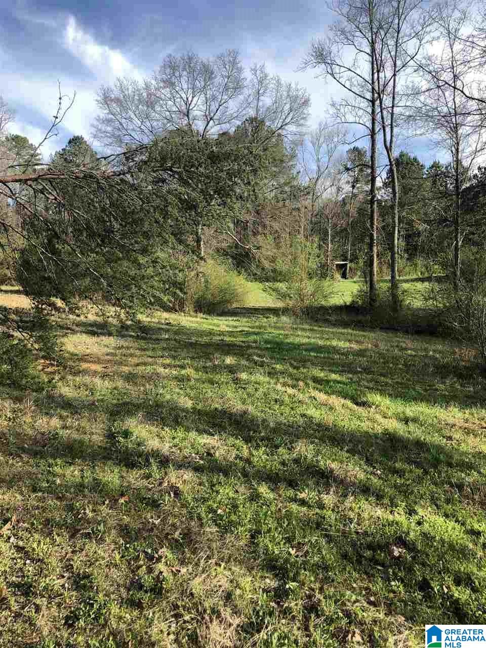 1000 Mulberry Hills Road Hayden, AL 35079 - Photo 3 of 12