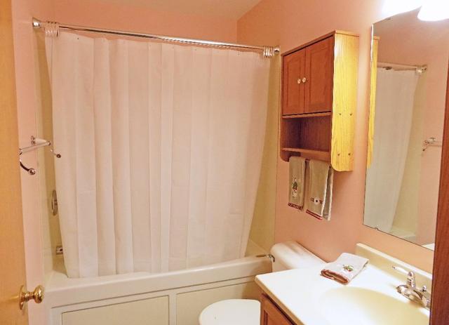 626 South Peace Road Sycamore, IL 60178 - Photo 12 of 24 a bathroom with a shower curtain and a sink