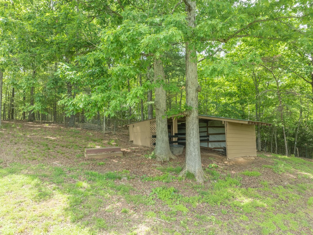 2163 Dickey Road Murphy, NC 28906 - Photo 7 of 80 Gallery Image 7