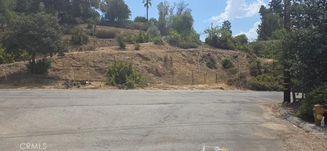 a view of a yard with large trees