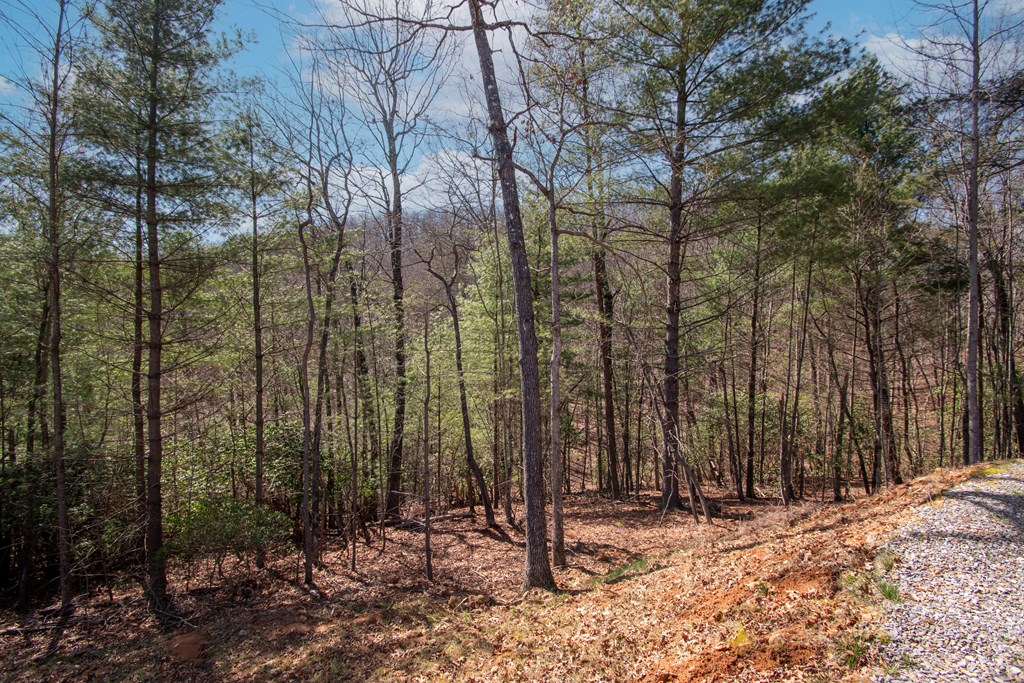 1456 Orton Road Murphy, NC 28906 - Photo 7 of 14