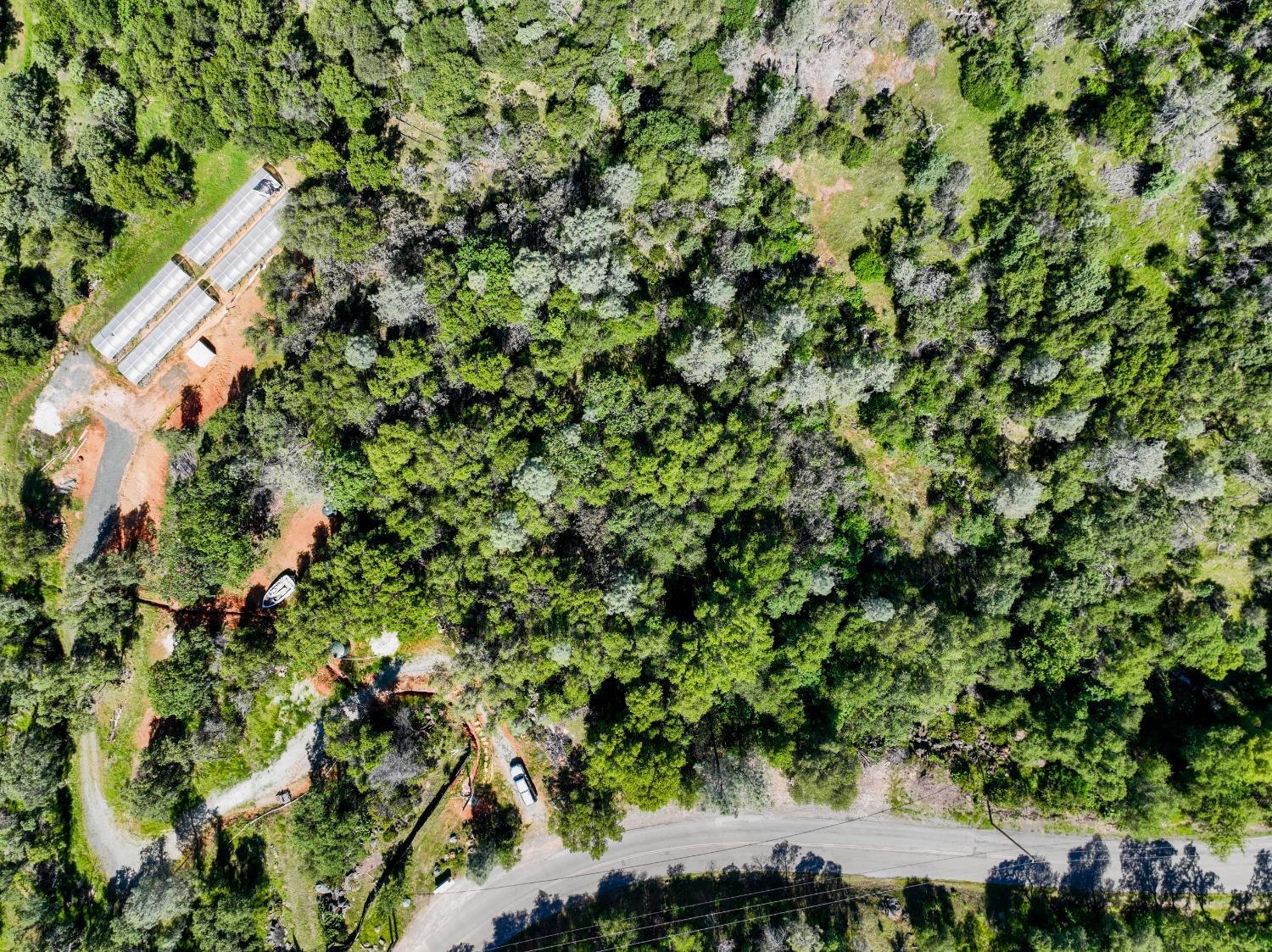 15806 Perimeter Road Grass Valley, CA 95949 - Photo 46 of 48