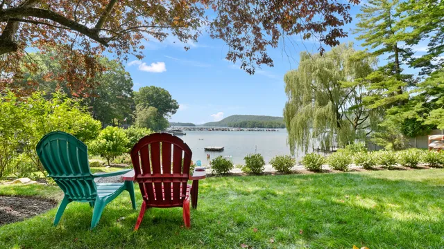 a view of a two chairs in the garden