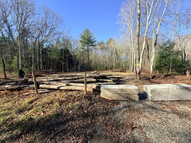 a view of swimming pool with a yard