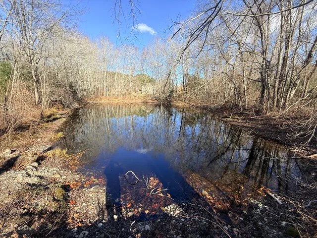 a view of backyard of a house