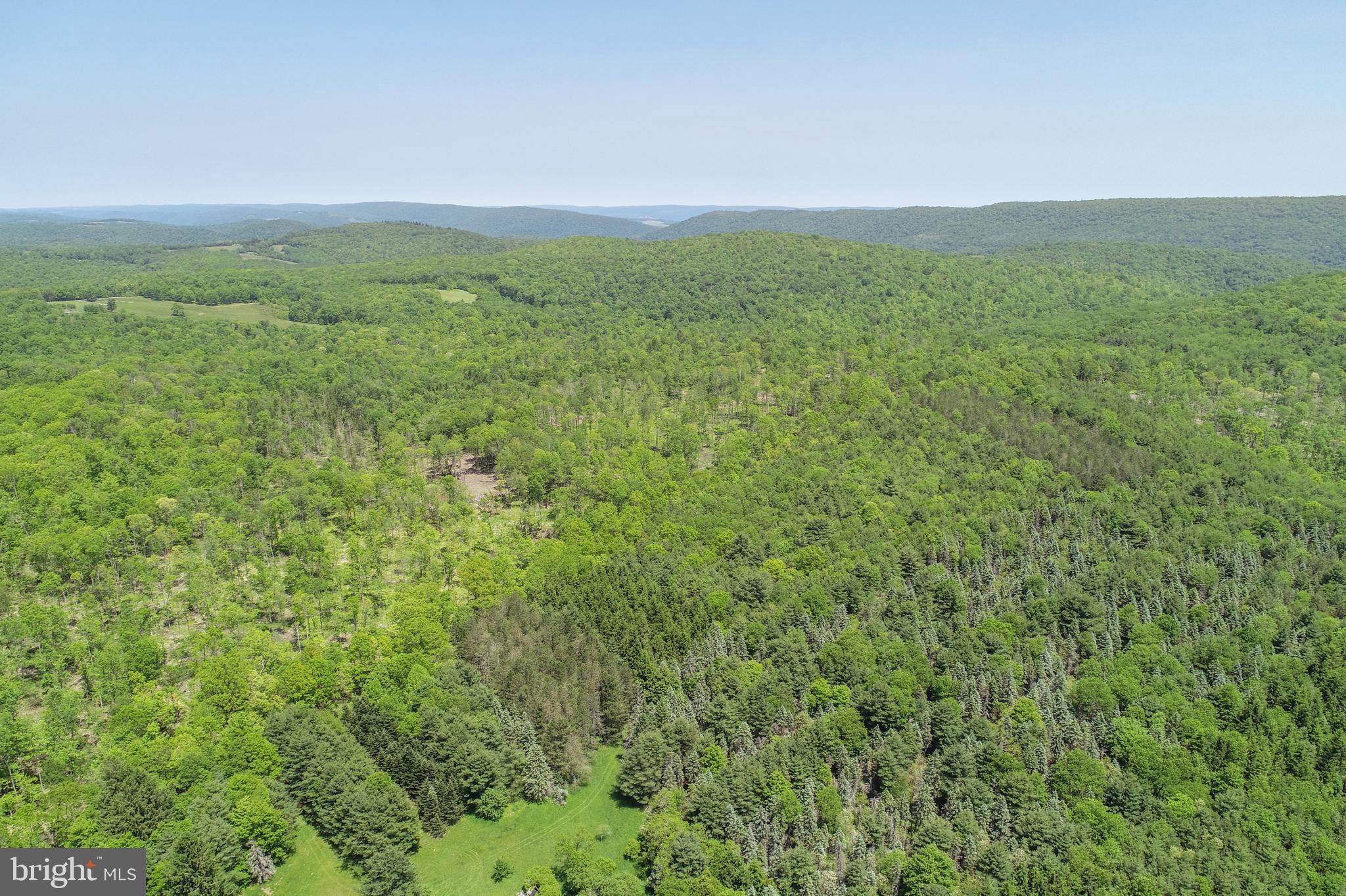 2026 Spring Lick Road Swanton, MD 21561 - Photo 14 of 26