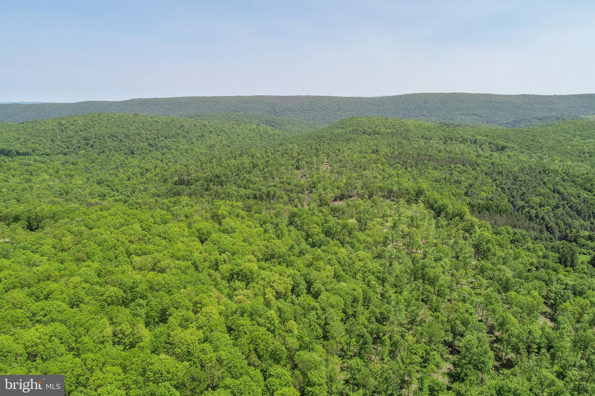 2026 Spring Lick Road Swanton, MD 21561 - Photo 23 of 26