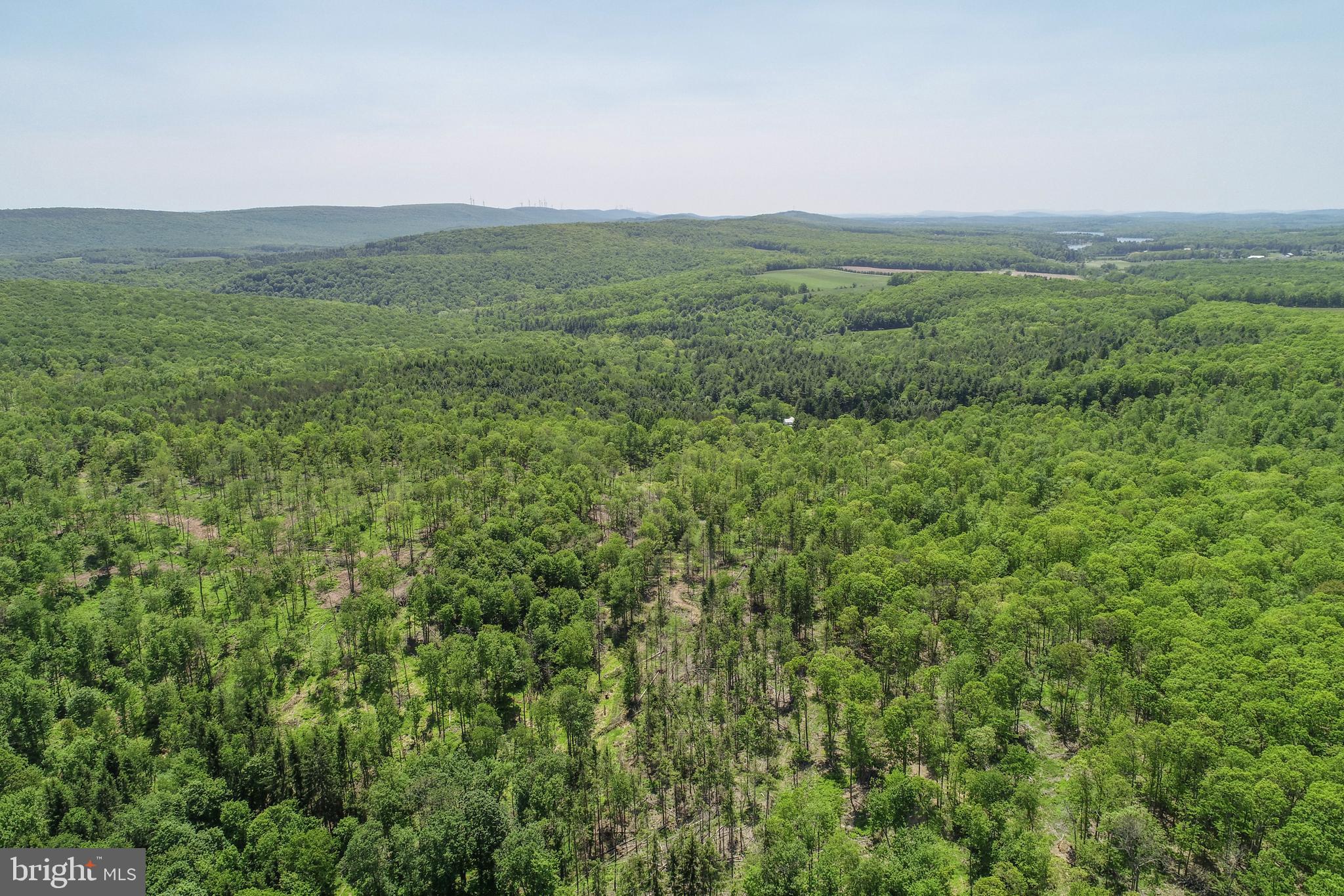 2026 Spring Lick Road Swanton, MD 21561 - Photo 8 of 26