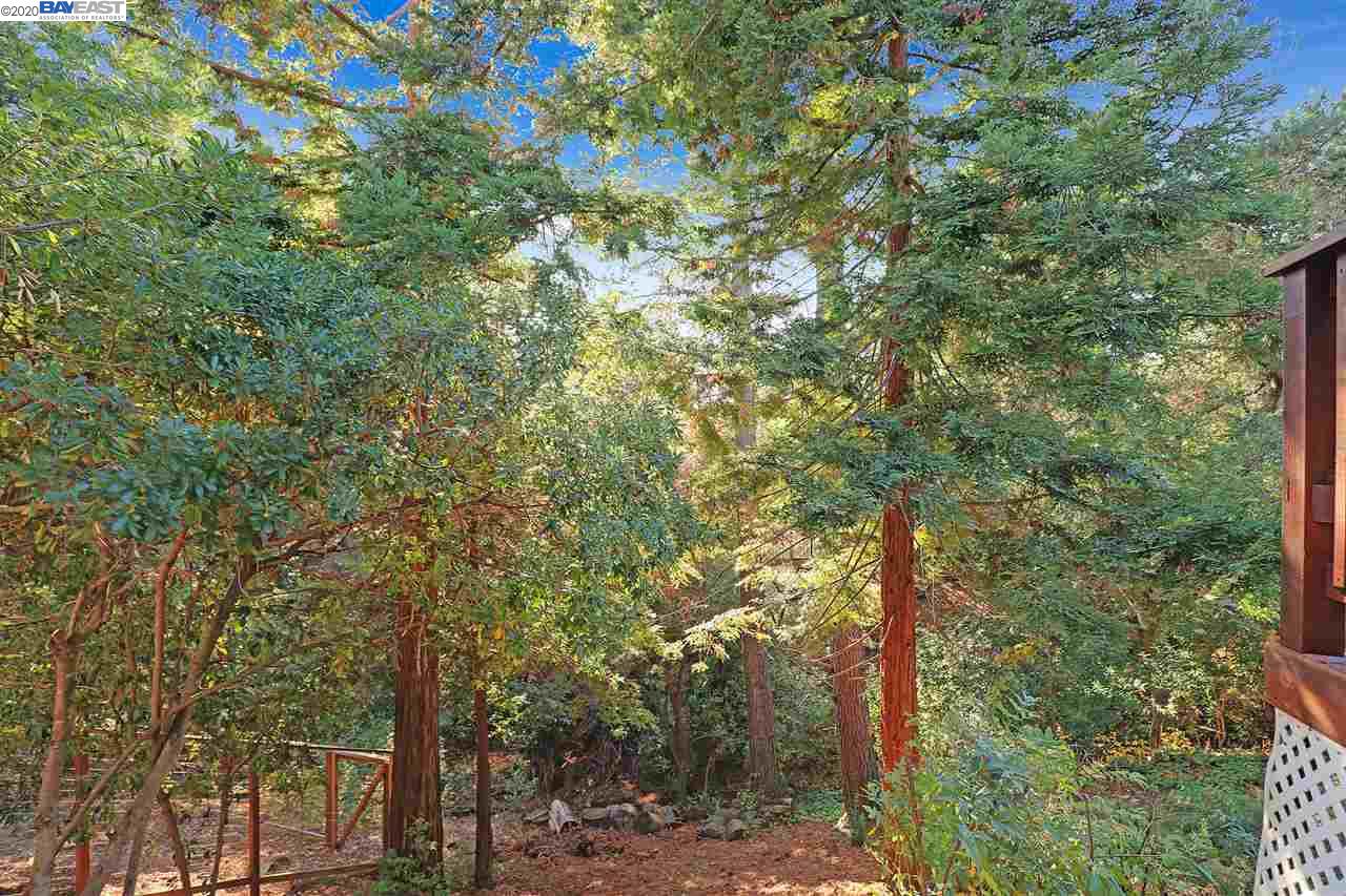 11893 West Vomac Road Dublin, CA 94568 - Photo 32 of 40 Gallery Image 32