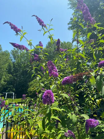 $529,000 | 44617 Joy Chapel Road, Hollywood, MD 20636