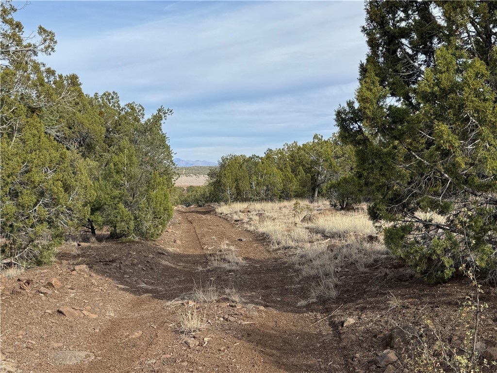 34745 West Running Shadow Road Seligman, AZ 86337 - Photo 2 of 52