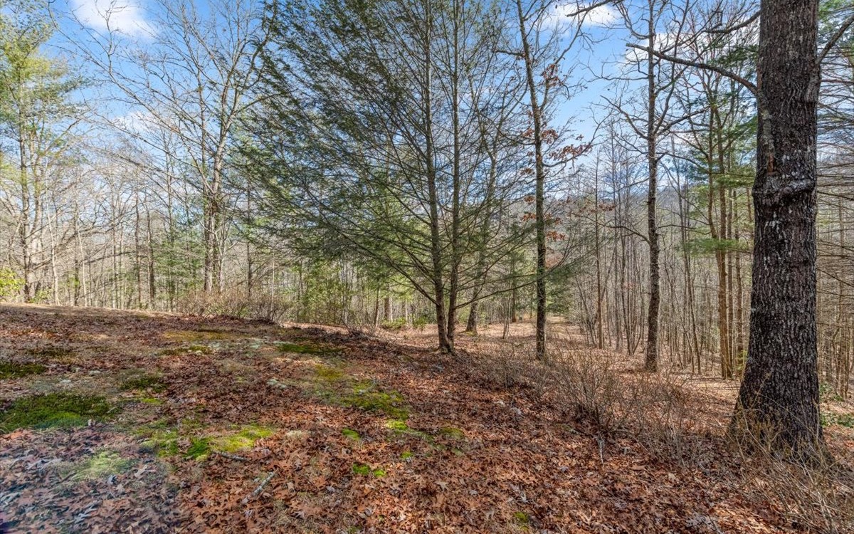 2180 Weaver Creek Road Blue Ridge, GA 30513 - Photo 54 of 58 Additional View