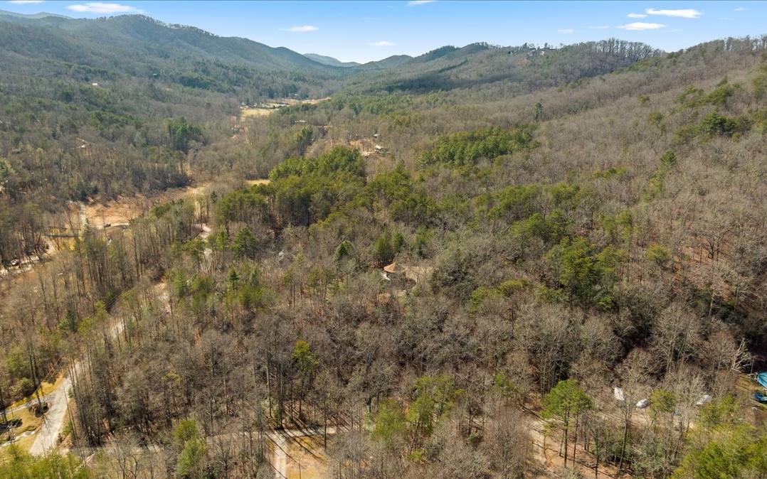 2180 Weaver Creek Road Blue Ridge, GA 30513 - Photo 8 of 58 Additional View