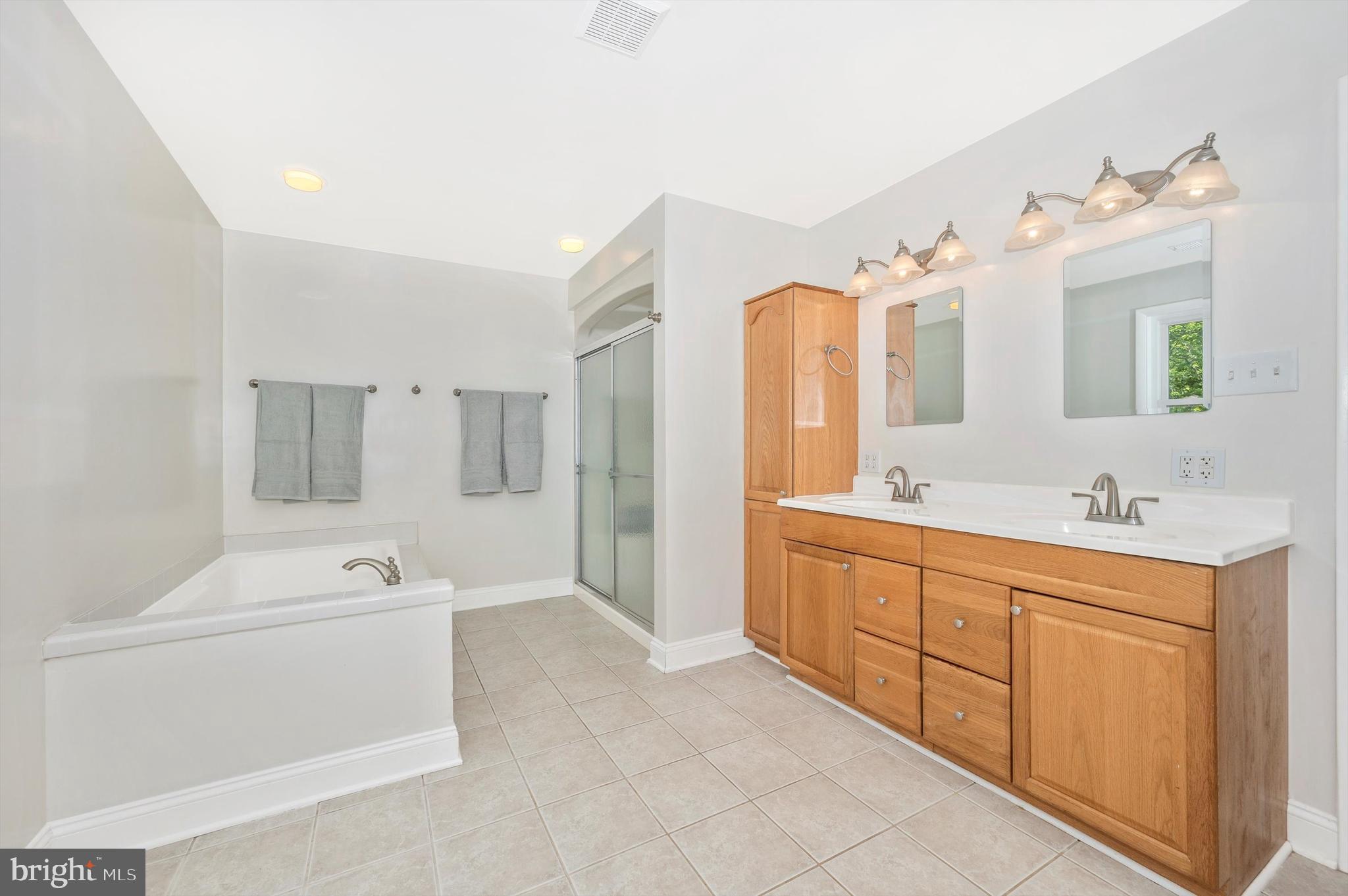 17125 Chiswell Road Poolesville, MD 20837 - Photo 22 of 71 Separate Shower and double sinks too!