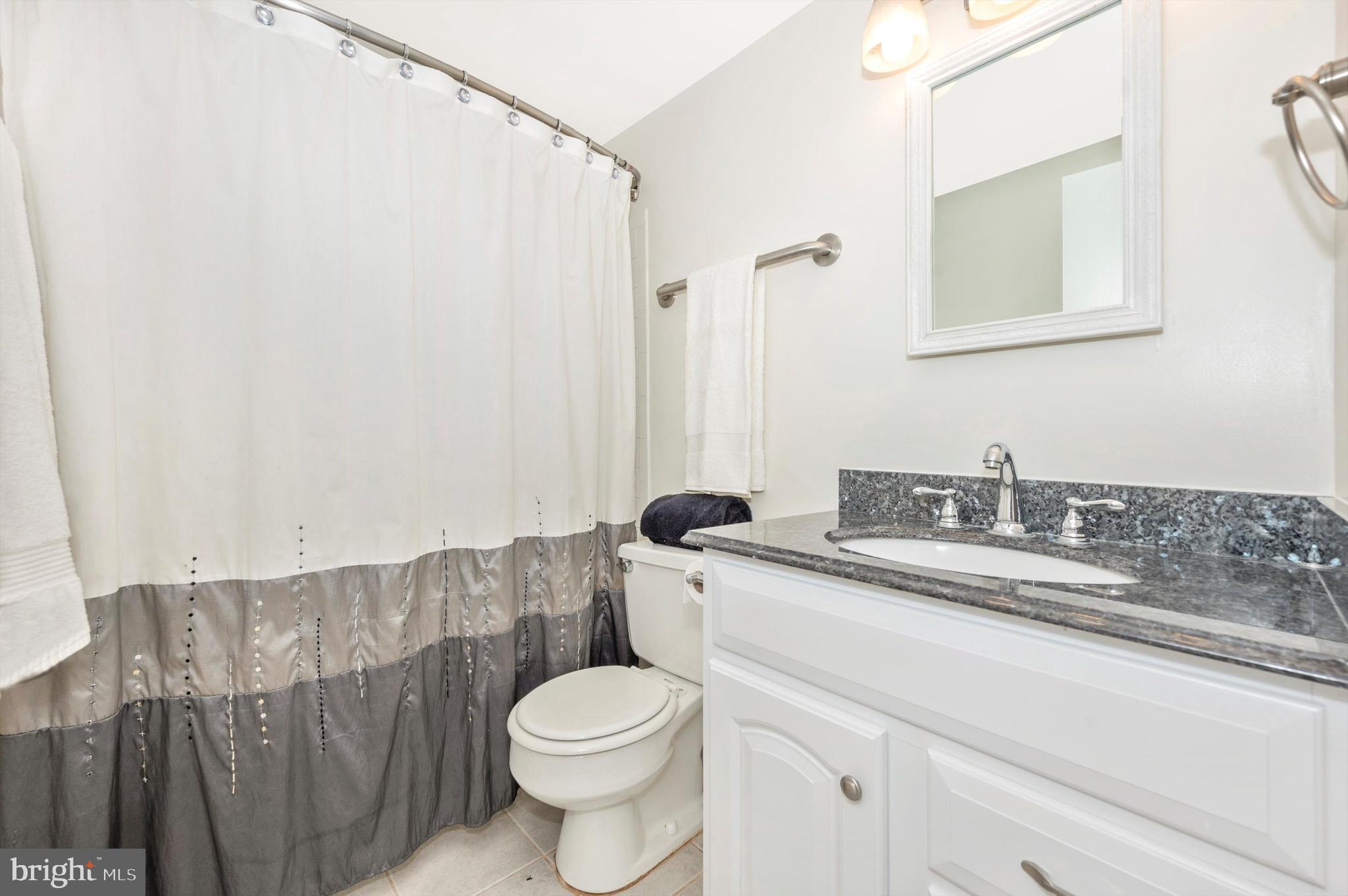 17125 Chiswell Road Poolesville, MD 20837 - Photo 33 of 71 Lower Level FULL BATH!