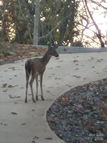 $1,200,000 | 146 Sarinac Drive, Bostic, NC 28018