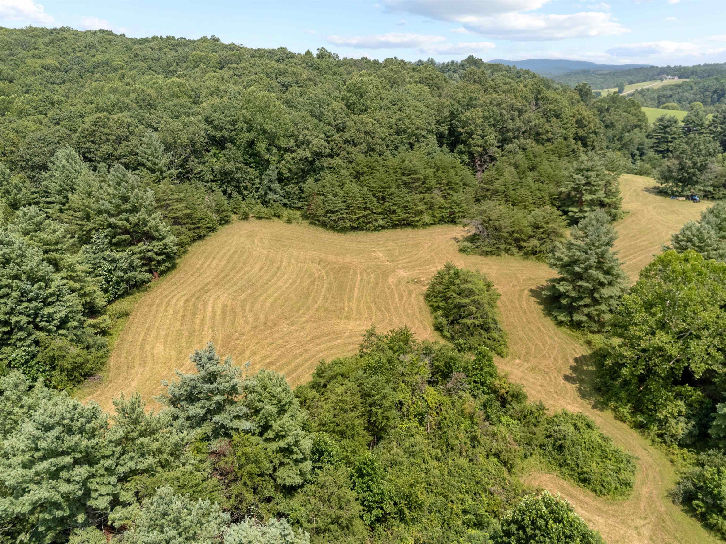 0 Canning Factory Road Southwest Floyd, VA 24091 - Photo 11 of 49 Gallery Image 11