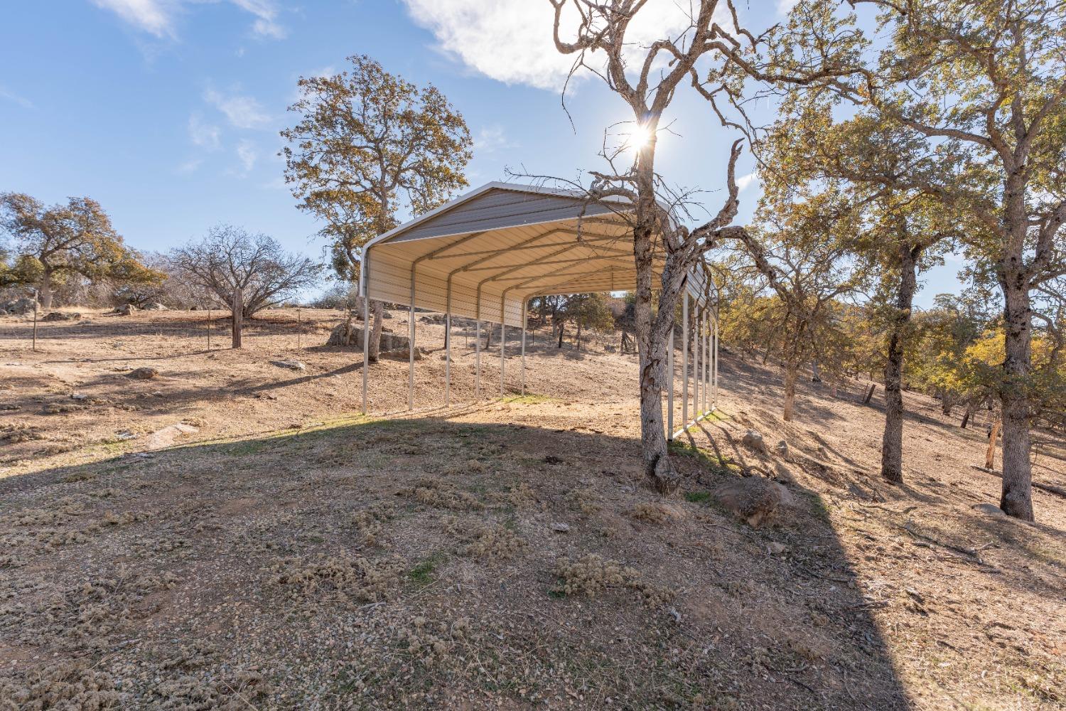 40778 Iris Road Squaw Valley, CA 93675 - Photo 24 of 44 a view of dirt yard with a tree
