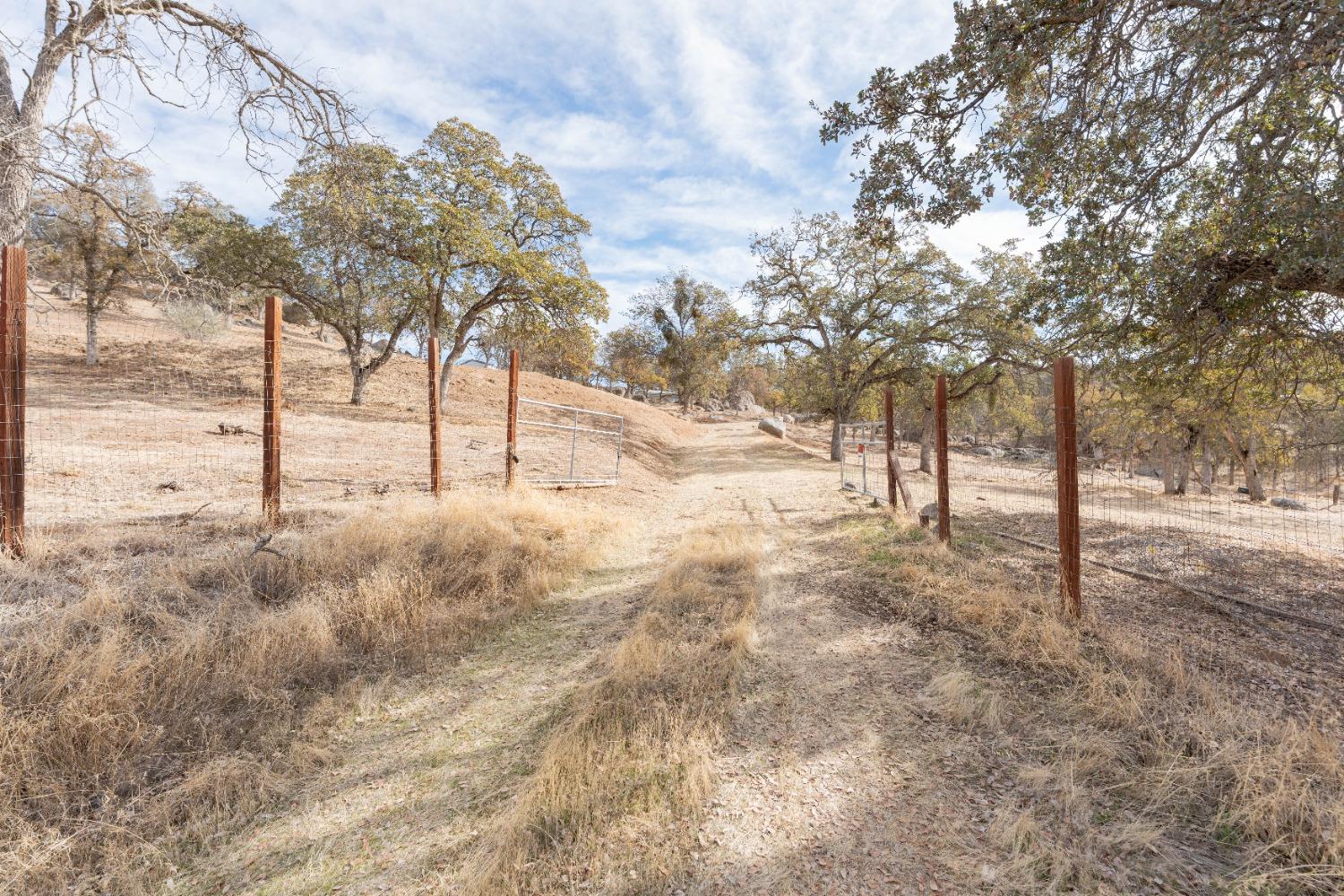 40778 Iris Road Squaw Valley, CA 93675 - Photo 26 of 44 a view of dirt yard with trees