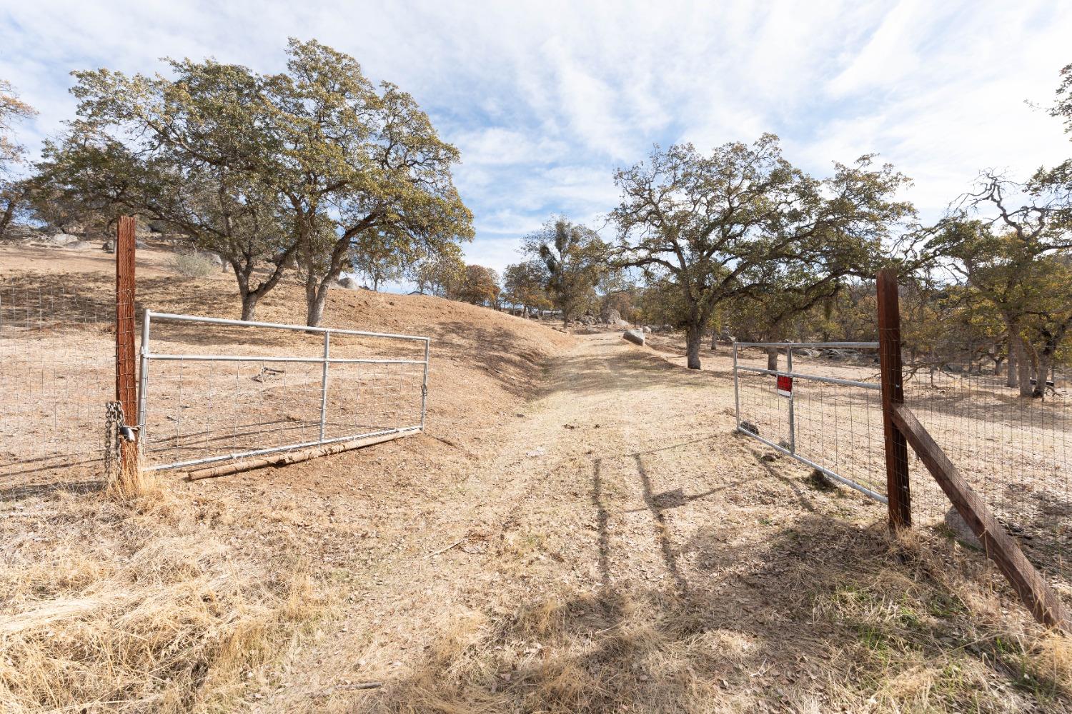 40778 Iris Road Squaw Valley, CA 93675 - Photo 28 of 44 a view of yard covered with snow in the front