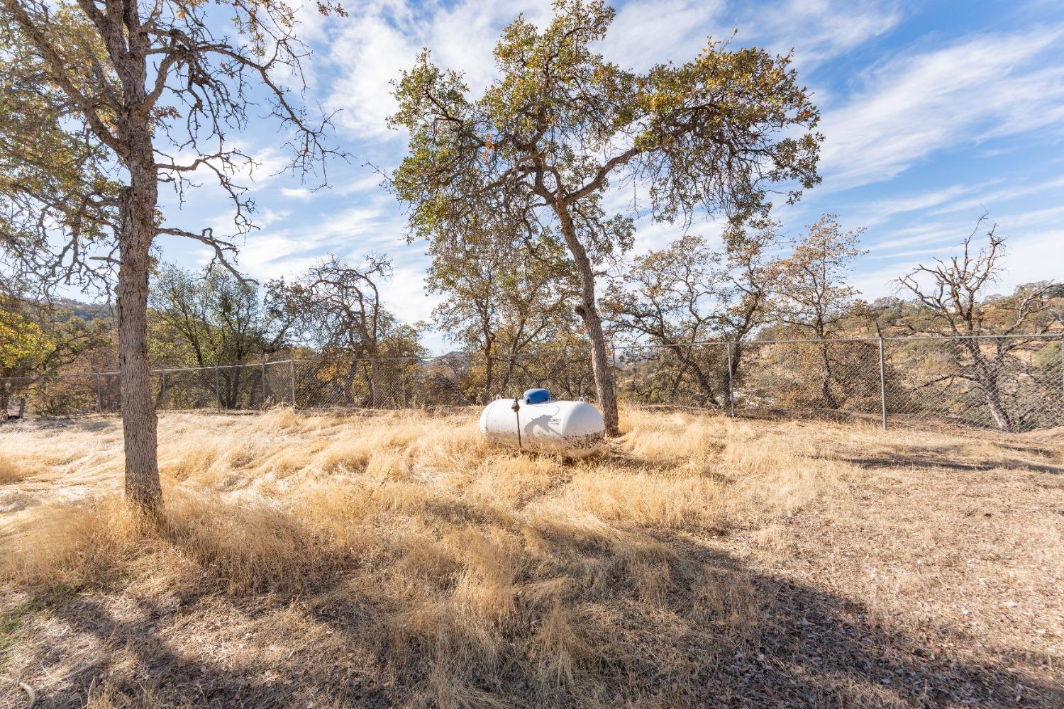 40778 Iris Road Squaw Valley, CA 93675 - Photo 30 of 44 a view of a yard covered in snow