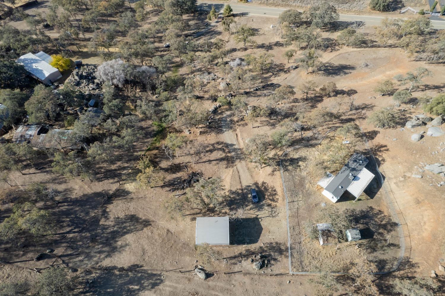 40778 Iris Road Squaw Valley, CA 93675 - Photo 40 of 44 a view of a dry yard with large trees