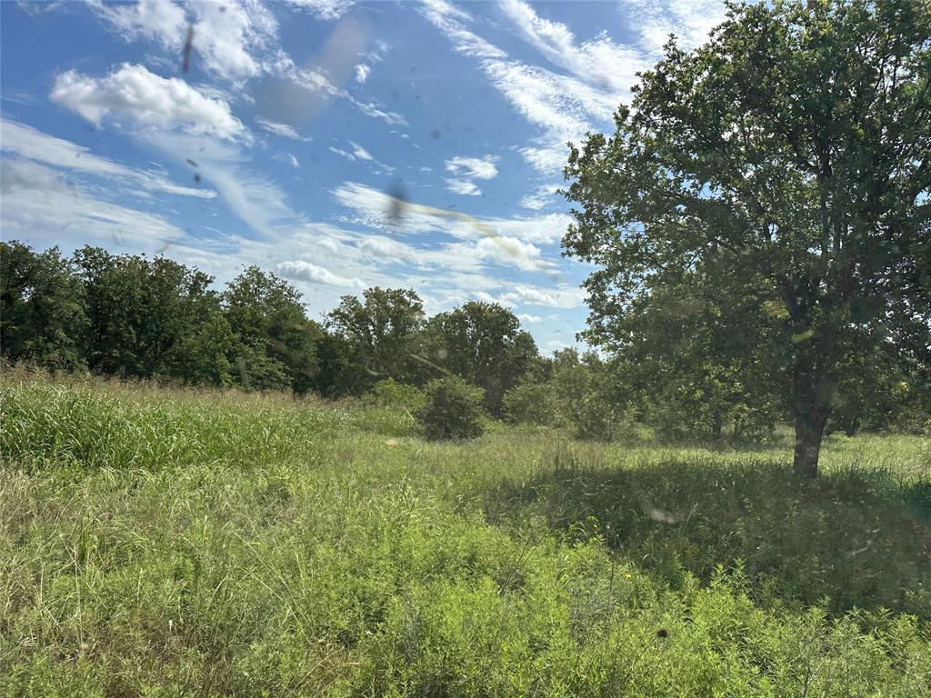 570 Big Salty Lane Springtown, TX 76082 - Photo 24 of 36 Expansive open field with natural greenery, featuring scattered mature trees and a distant tree line
