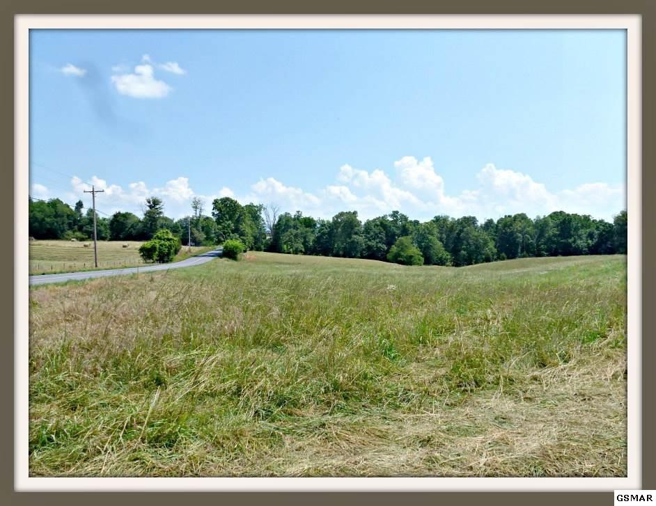 9 Burchfield Road Dandridge, TN 37725 - Photo 2 of 10 Gallery Image 2