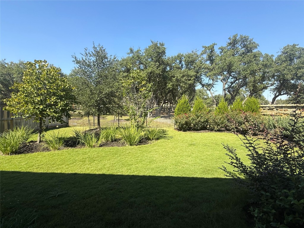 2002 Clearlight Lane Georgetown, TX 78633 - Photo 25 of 30 View of yard