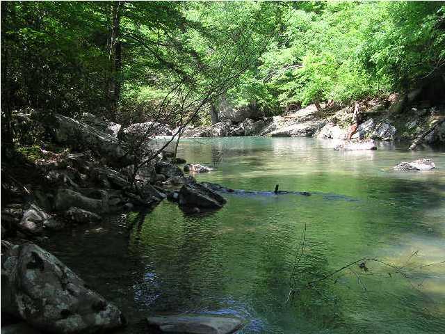 101 Savage Point Road Dunlap, TN 37327 - Photo 1 of 20 Primary Photo