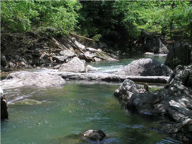 101 Savage Point Road Dunlap, TN 37327 - Photo 15 of 20 Additional Photo
