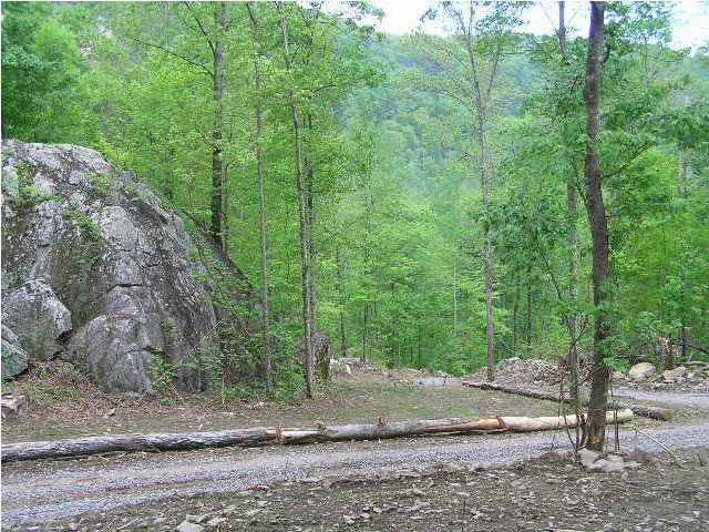 101 Savage Point Road Dunlap, TN 37327 - Photo 18 of 20 Additional Photo
